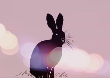 hare bokeh