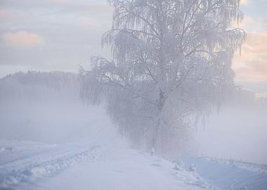 Winter road landscape