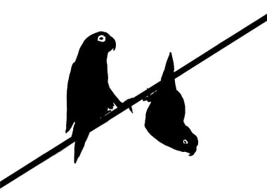 lovebird silhouette