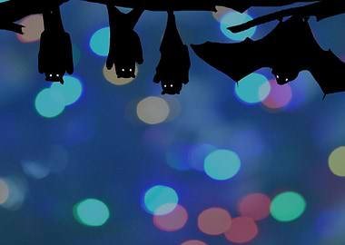 bats bokeh