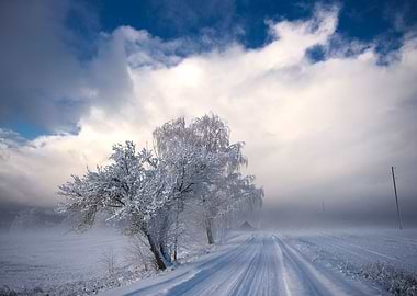 Winter road landscape