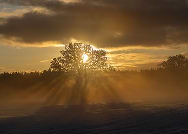 Winter sunrise landscape