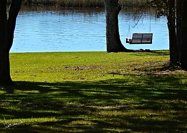 Swinging on the Bayou