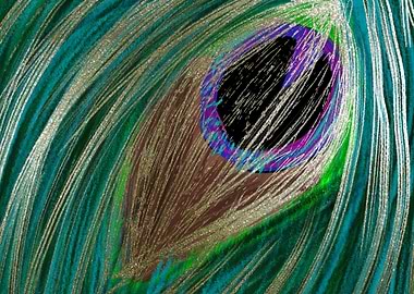 Peacock Feather