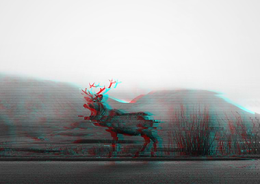 Deer Distorted
