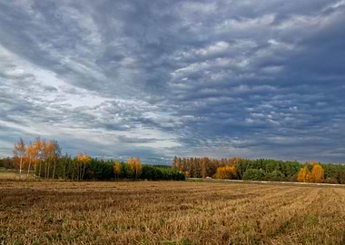 Autumn field before rain