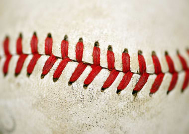 Baseball macro detail