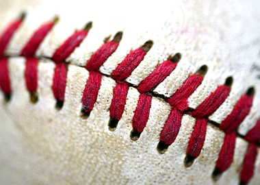 Baseball macro detail