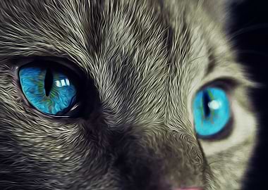 a cat with blue eyes