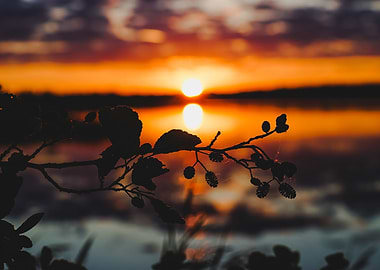 Sunset in Sweden