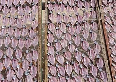Traditional dried fish 02
