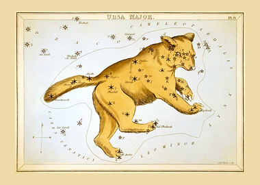 The Great Bear