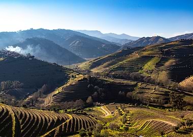 Douro Wine Region
