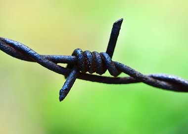 barbed wire macro