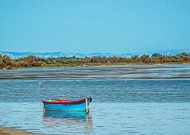 Wooden boat in Camargue