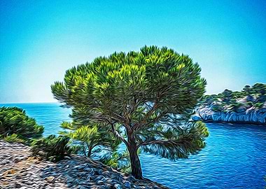 Calanques near Cassis