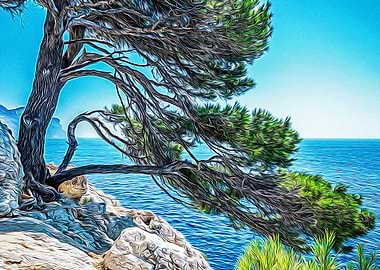 Calanques near Cassis