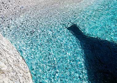 Shadow of the bow of a boa
