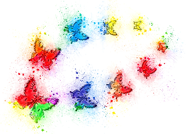 Butterfly rainbow 1 1