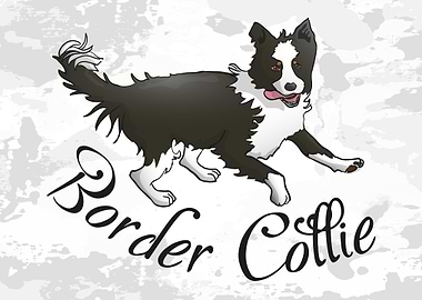 Border Collie illustration