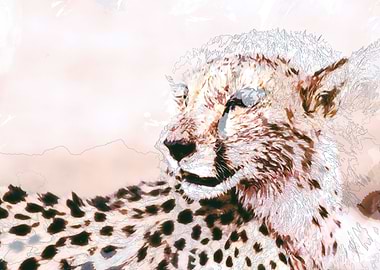 cheetah animal Cheetah