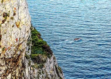 Seacoast near Alghero