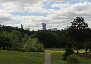 Landscape Chastain Park