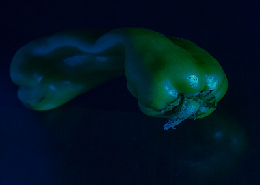 Green Pepper
