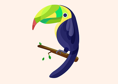 Meditative Toucan