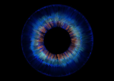 Eye