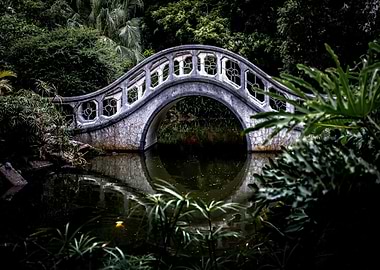 Bridge reflecting in Pond