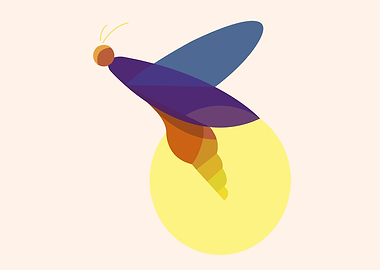 Adventuress Dragonfly