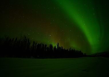 Red Tinting of the Aurora
