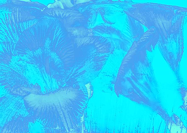 White Freesia in ice blue