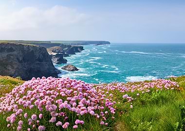 Spring on Cornwalls coast