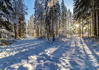 Two paths in the snow