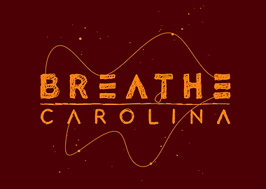 Breathe Carolina Duo Logo