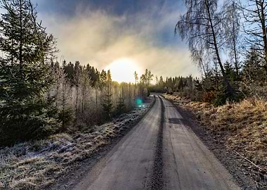 A sunny and cold winter