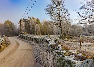 Small path in winter