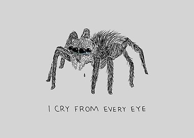 I Cry From Every Eye