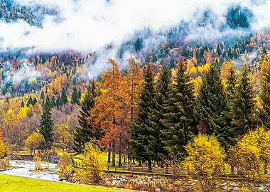 Misty forest in the Alps