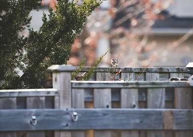 Alone and contemplating