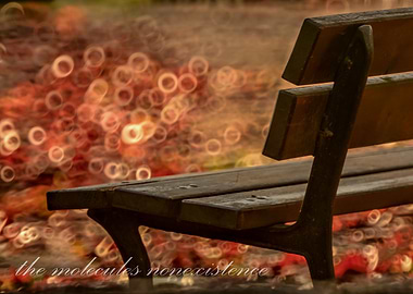 bench
