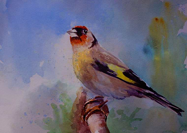 Watercolor Bird