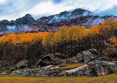 Misty forest in the Alps