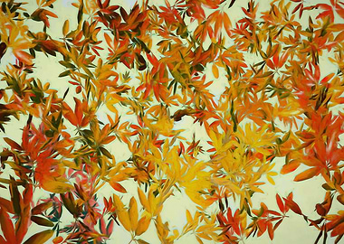 Autumnal Foliage