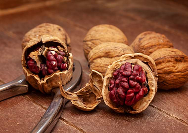 Red Danube Walnuts