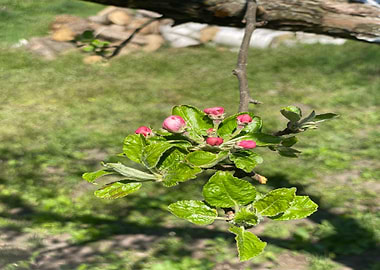 Great Garden Great Work