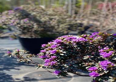 Vacation Week In Italy