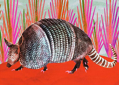 Merry Armadillo